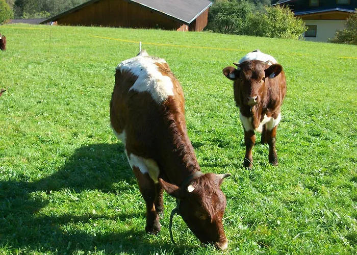 Oberschlassbergbauer