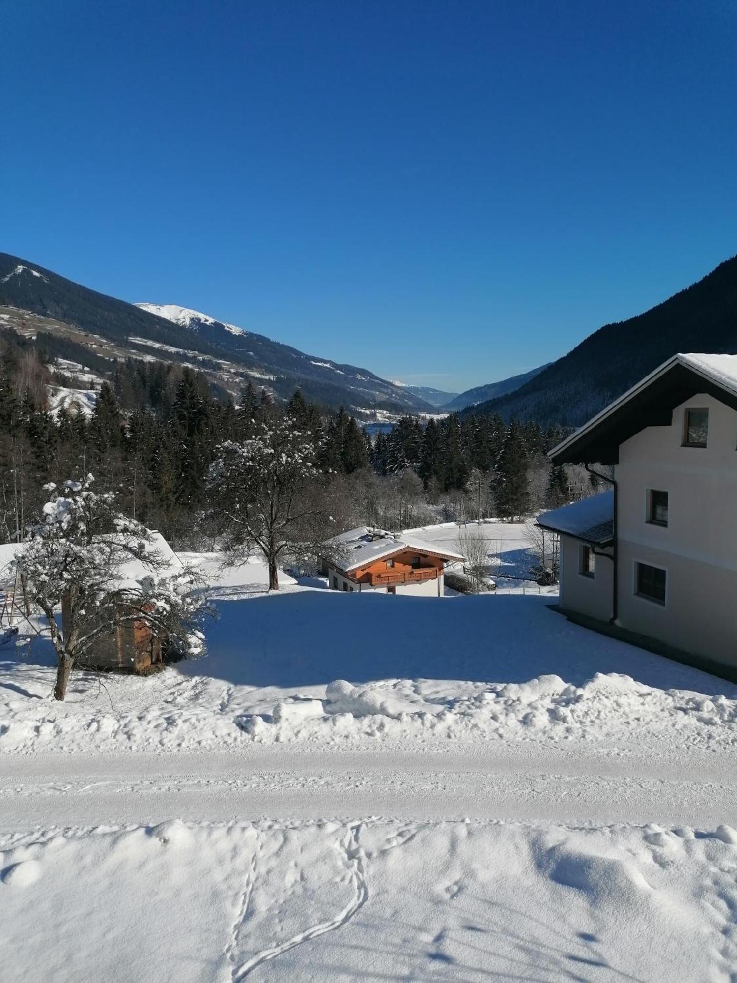 Oberschlassbergbauer Wald im Pinzgau